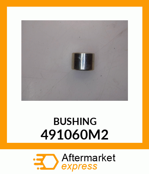 BUSHING 491060M2