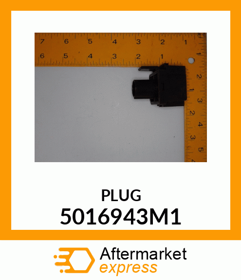 PLUG 5016943M1