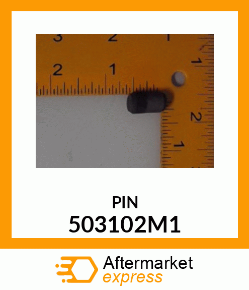 PINFS 503102M1