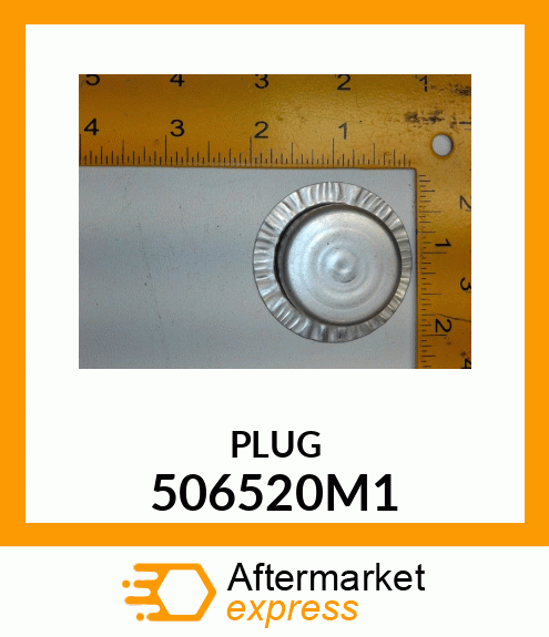 PLUG 506520M1