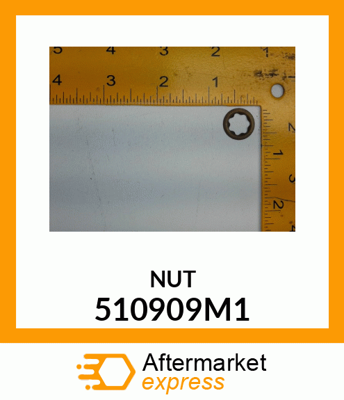 NUT 510909M1