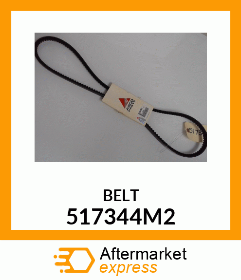 BELT 517344M2