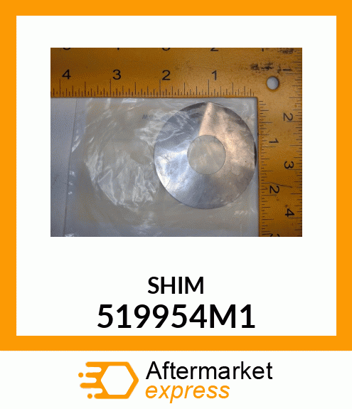 SHIM 519954M1