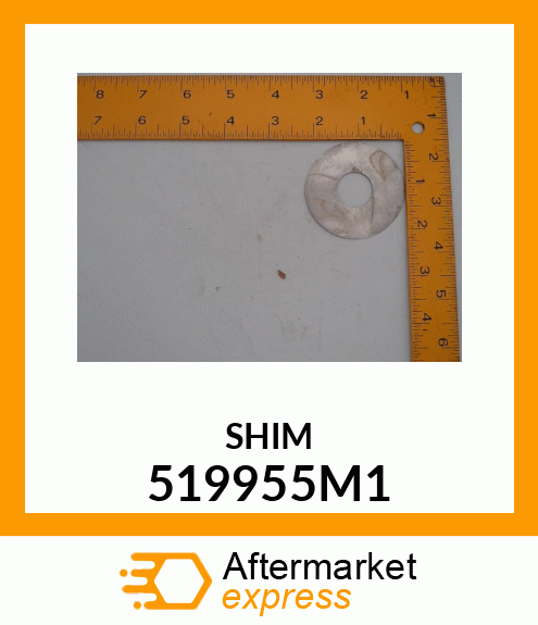 SHIM 519955M1