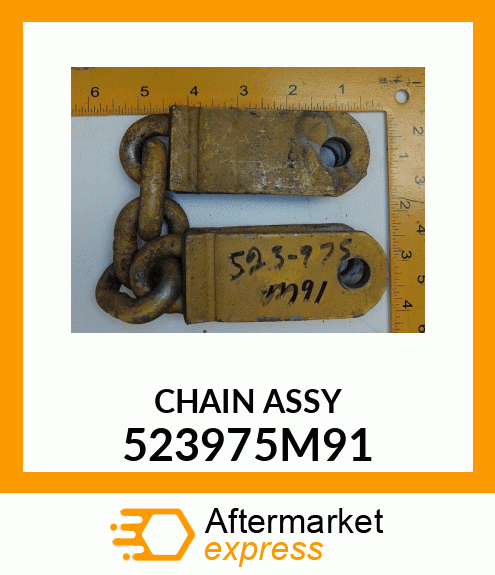 CHAIN_ASSY 523975M91