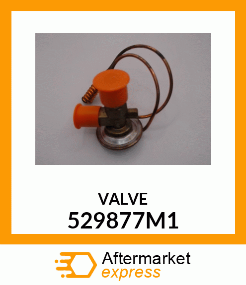 VALVE 529877M1