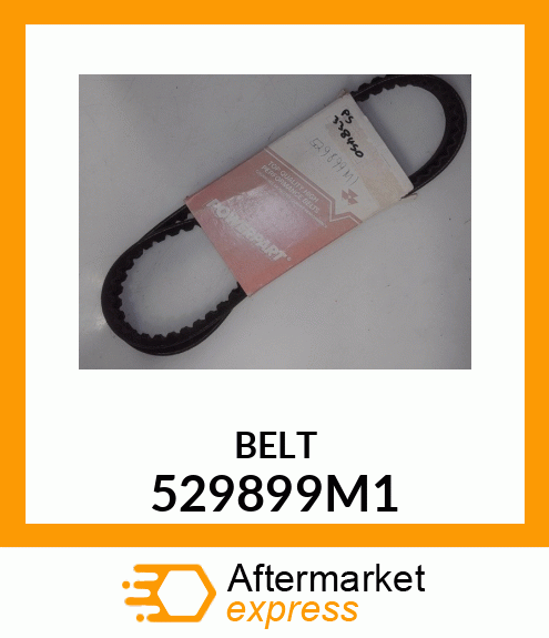 BELT 529899M1