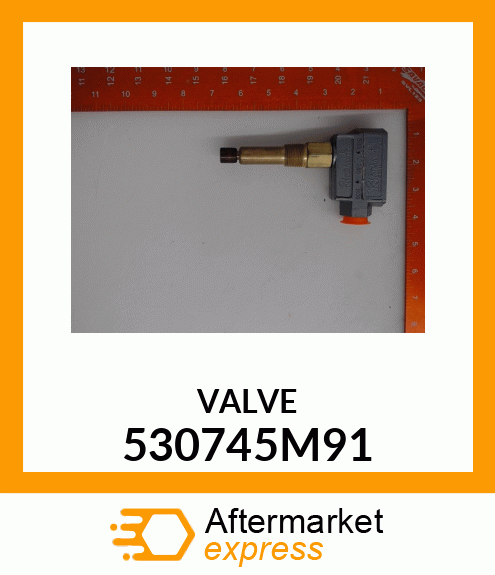 VALVE 530745M91