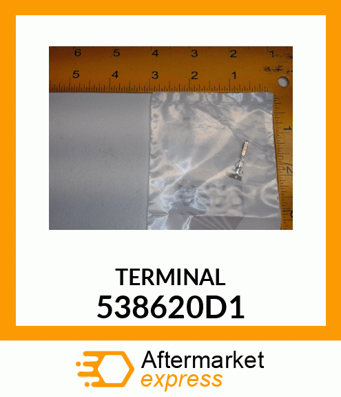 TERMINAL 538620D1