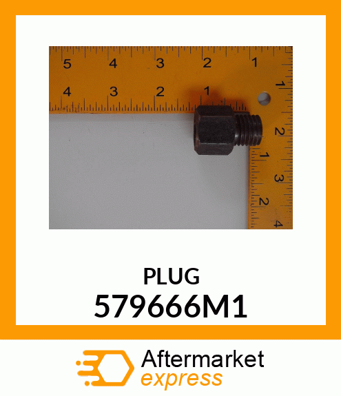 PLUG 579666M1