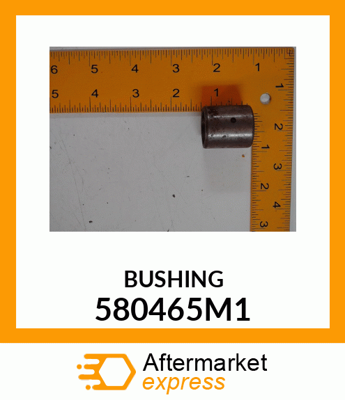 BUSHING 580465M1