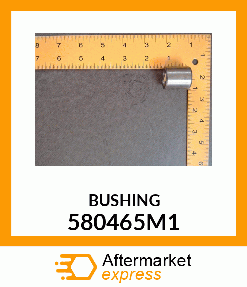 BUSHING 580465M1