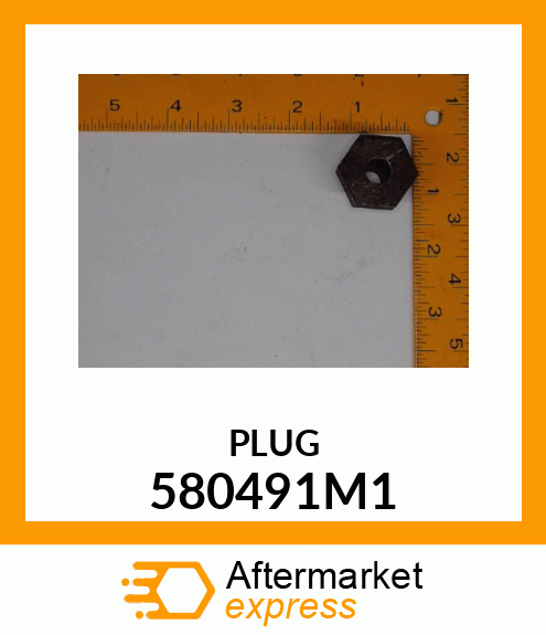 PLUG 580491M1