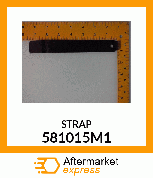 STRAP 581015M1