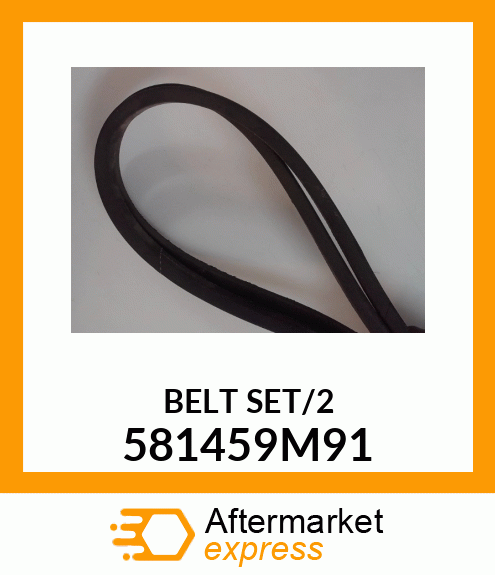 BELT/2 581459M91