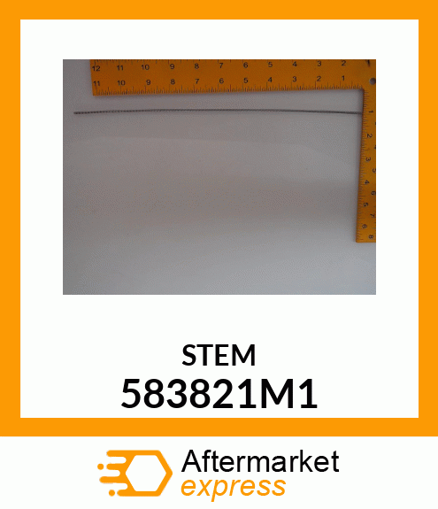 STEM 583821M1