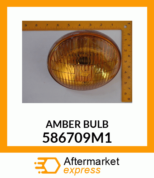 AMBERBULB 586709M1