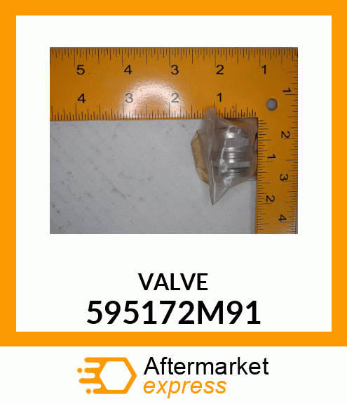 VALVE 595172M91