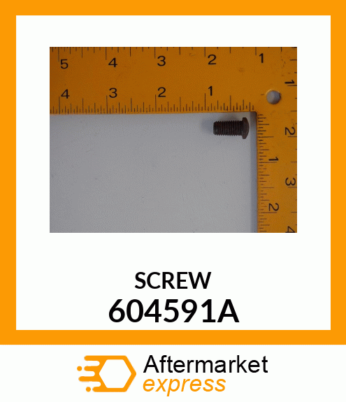 SCREW 604591A