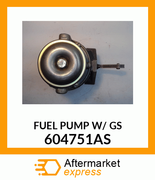 FUELPUMPW/GS 604751AS