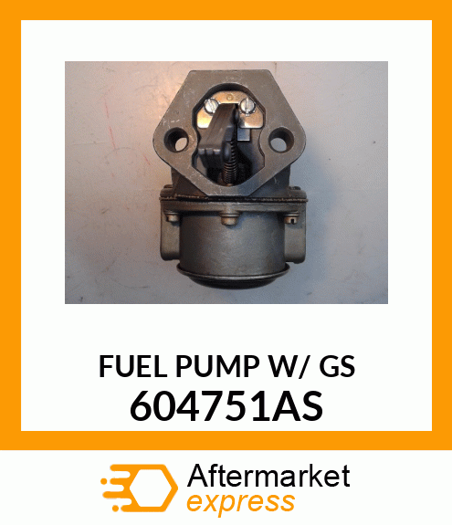 FUELPUMPW/GS 604751AS