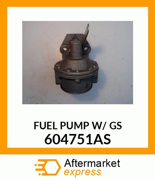 FUELPUMPW/GS 604751AS