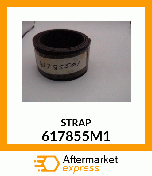 STRAP 617855M1