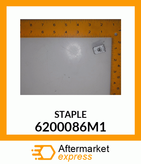 STAPLE 6200086M1