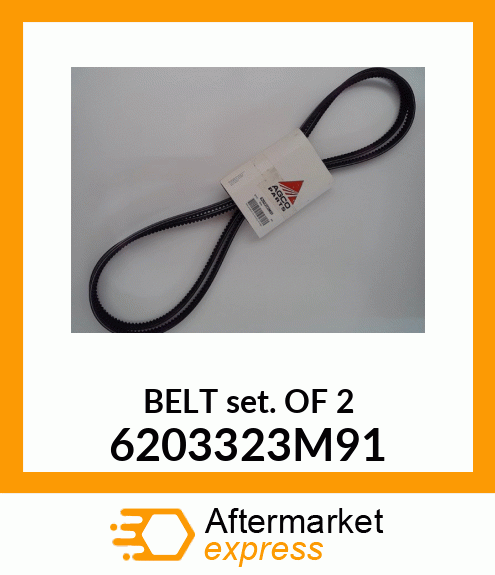 BELTSETOF2 6203323M91