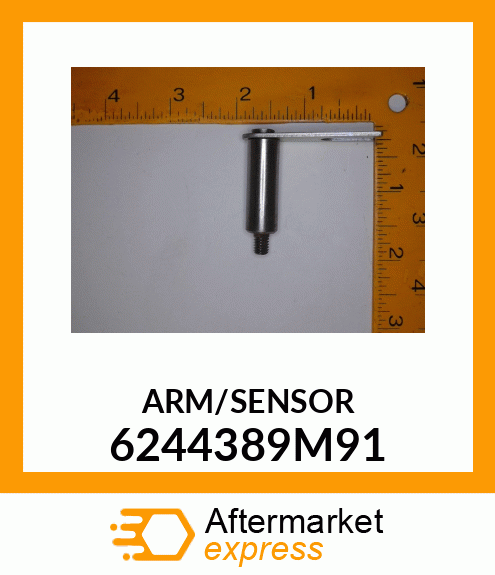 ARM/SENSOR 6244389M91