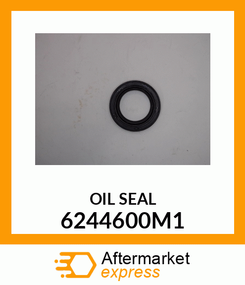 OIL_SEAL 6244600M1