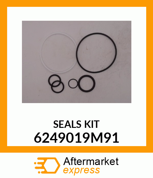 SEALS_KIT 6249019M91