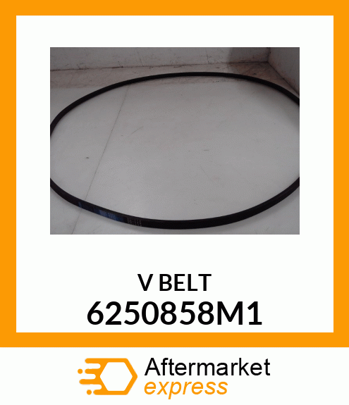 BELT/SC119 6250858M1