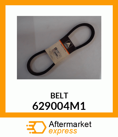 BELT 629004M1