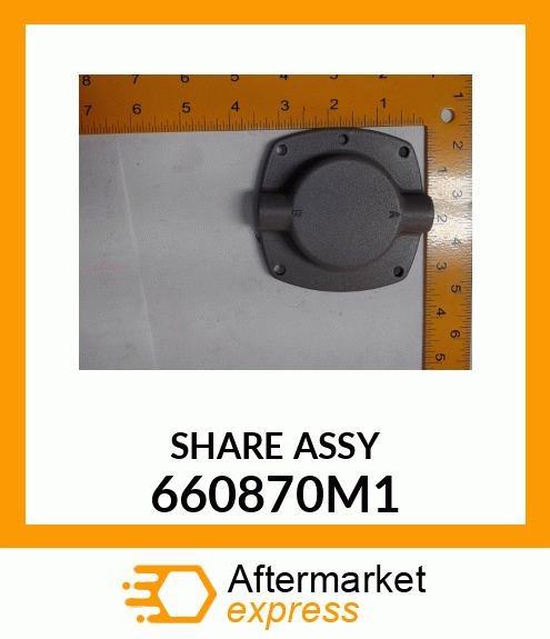 SHAREASSY 660870M1