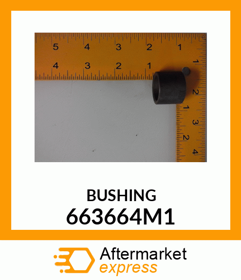 BUSHING 663664M1