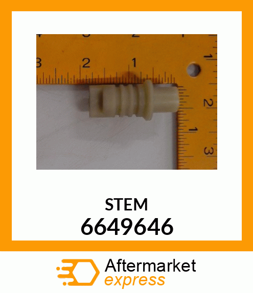 STEM 6649646