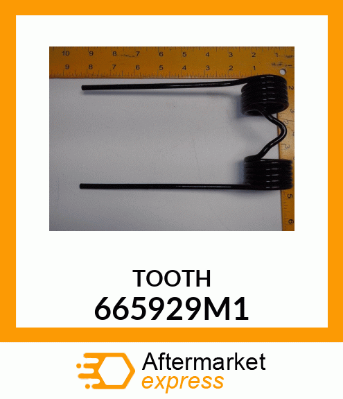 TOOTH 665929M1