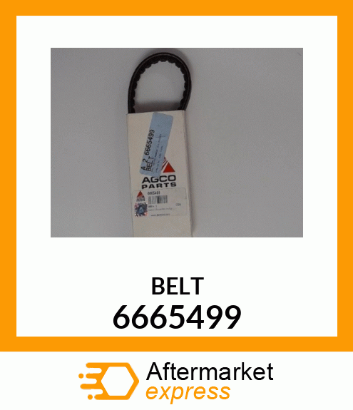 BELT 6665499