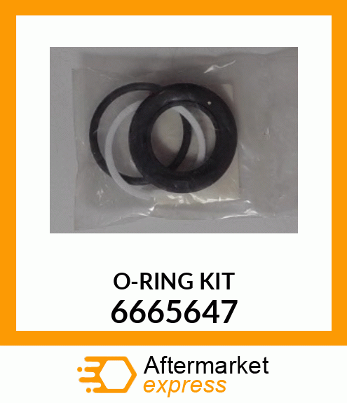 O-RING_KIT_3PC_ 6665647