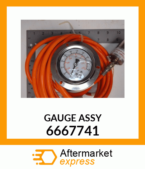 GAUGE ASSY 6667741