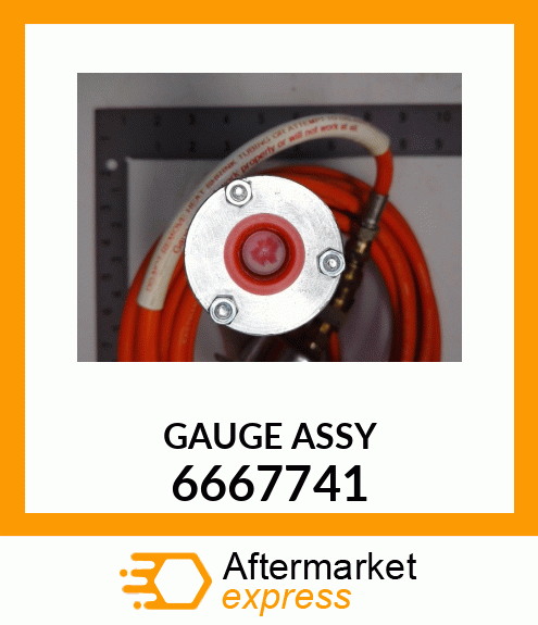 GAUGE ASSY 6667741