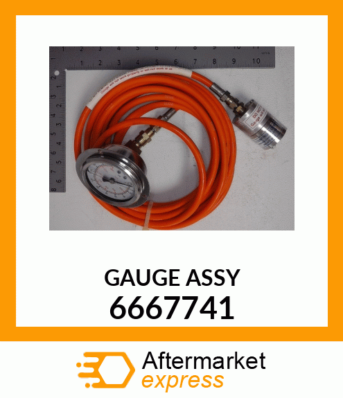 GAUGE ASSY 6667741