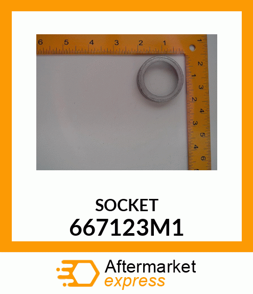 SOCKET 667123M1