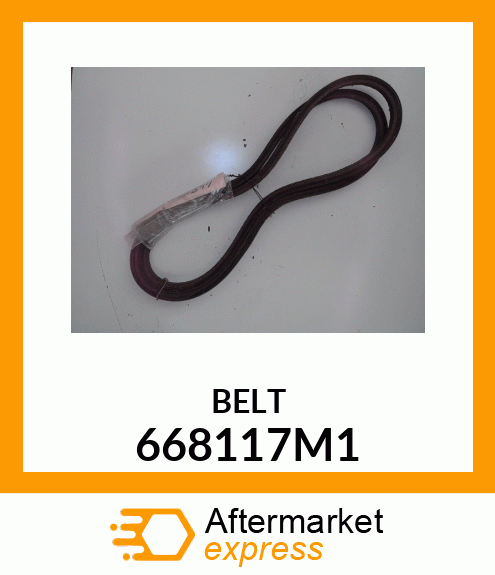 BELT 668117M1