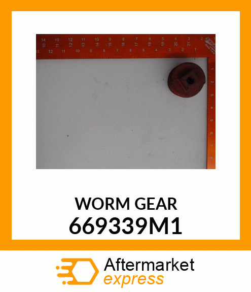 WORM GEAR 669339M1