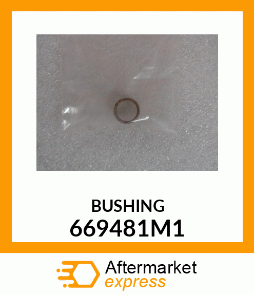 BUSHING 669481M1