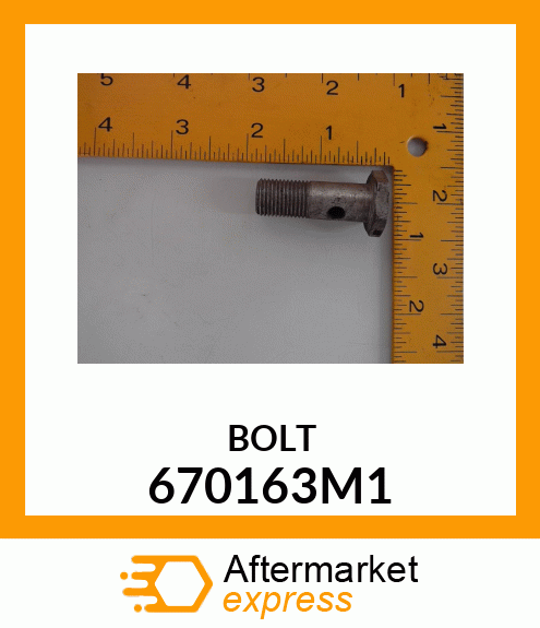 BOLT 670163M1