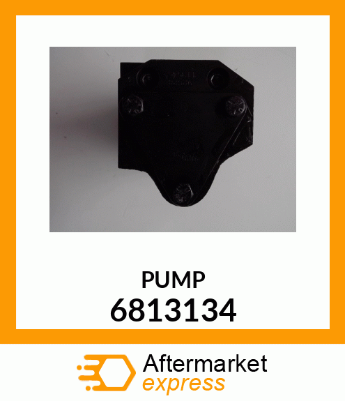 PUMP 6813134