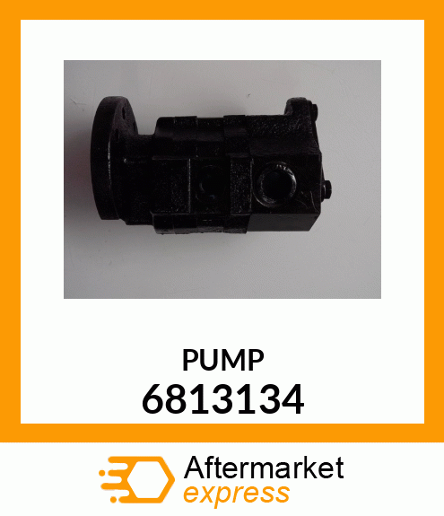 PUMP 6813134